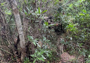Green Berets with 1st SFG (A) train in Special Reconnaissance at Jungle Warfare Training Center in Okinawa