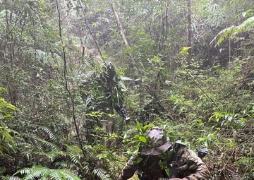 Green Berets with 1st SFG (A) train in Special Reconnaissance at Jungle Warfare Training Center in Okinawa
