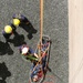 U.S. Naval Base Guam’s Fire and Emergency Services Participate in Rappelling Training