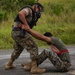 Constant Vigilance Missile Strike Scenario