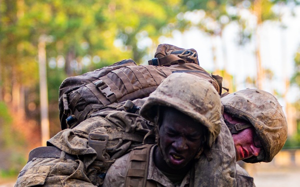 Papa Company Crucible