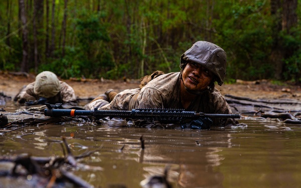 Papa Company Crucible