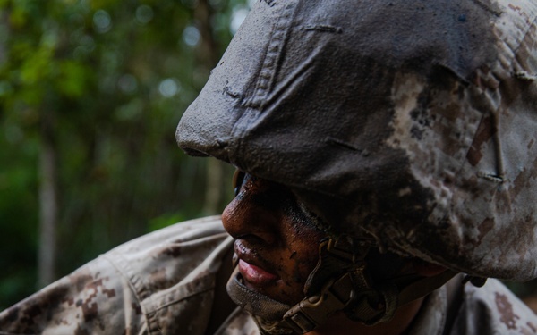 Papa Company Crucible