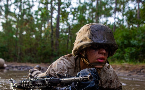 Papa Company Crucible