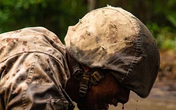 Papa Company Crucible