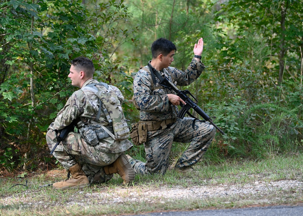 White Knight Exercise Tests Pschological Operations Students