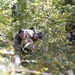 Students Tested During White Knight Exercise
