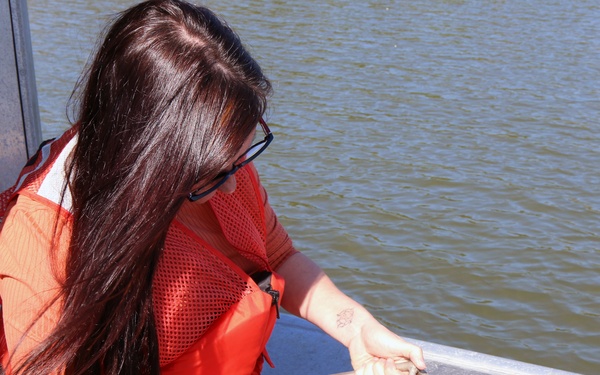 Surveying the Atlantic Intracoastal Waterway