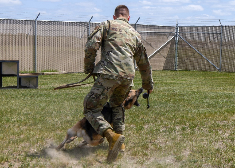 Airman of Minot: Senior Airman Lucas Reale