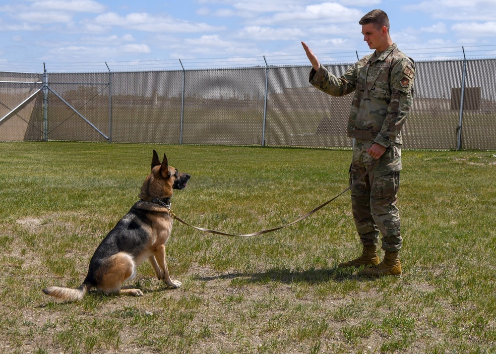 Airman of Minot: Senior Airman Lucas Reale