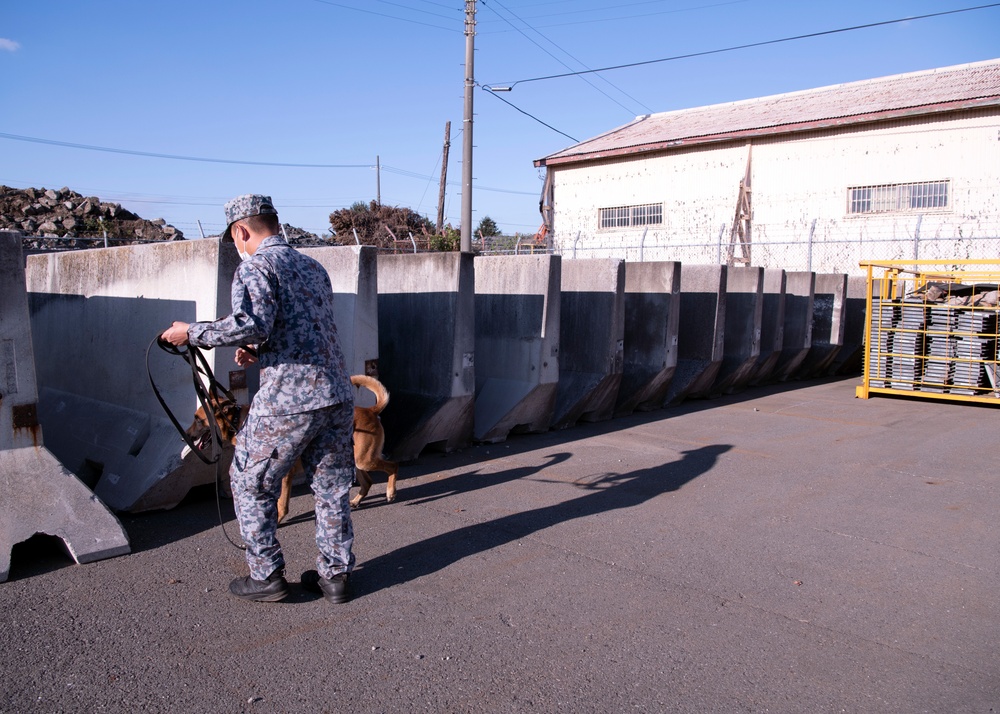 374th SFS military working dog section trains JASDF