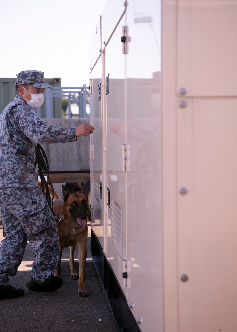 374th SFS military working dog section trains JASDF