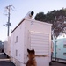 374th SFS military working dog section trains JASDF