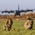 Latvian Bilateral Exercise