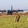 Latvian Bilateral Exercise