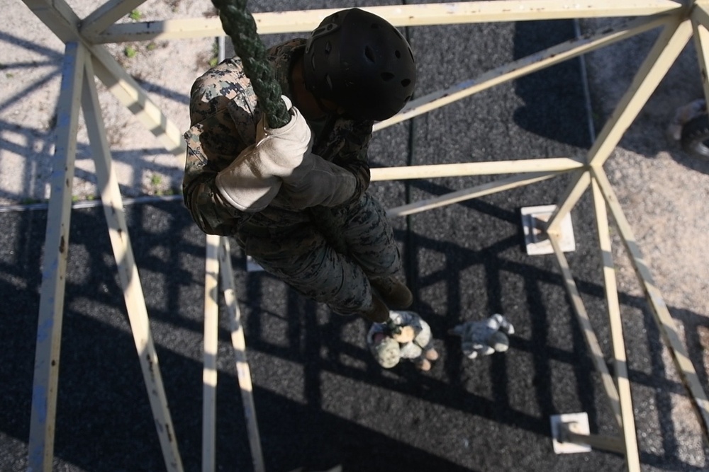 Exercise Lisa Azul 2021