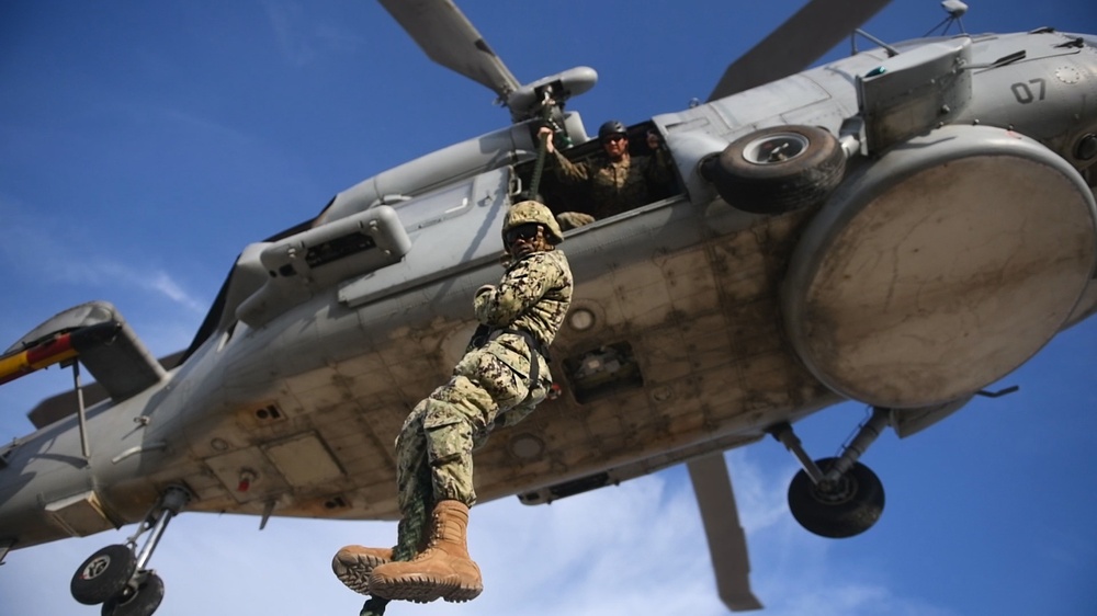 Exercise Lisa Azul 2021