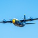Blue Angels Navy Flight Demonstration Team – Beaufort, South Carolina
