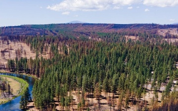 Southern Oregon forest after wildfire