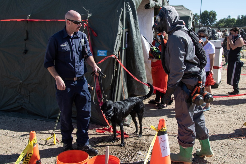Doggy decontamination at Task Force 46 DUT LA exercise