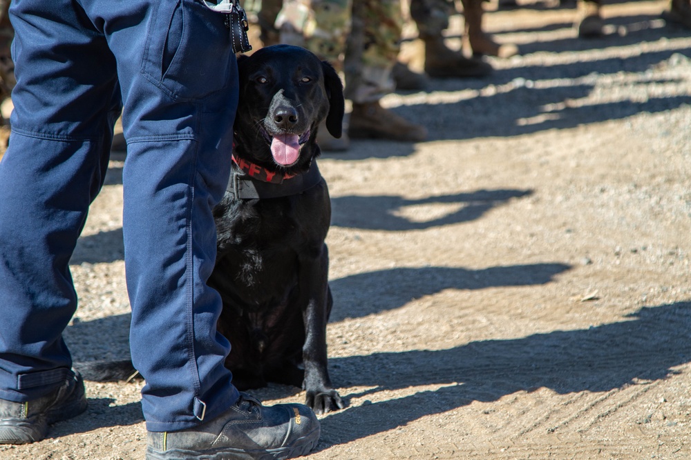 Ruffy stands at attention at Task Force 46 DUT LA exercise