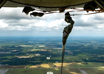 PJ's maintain jump proficiency