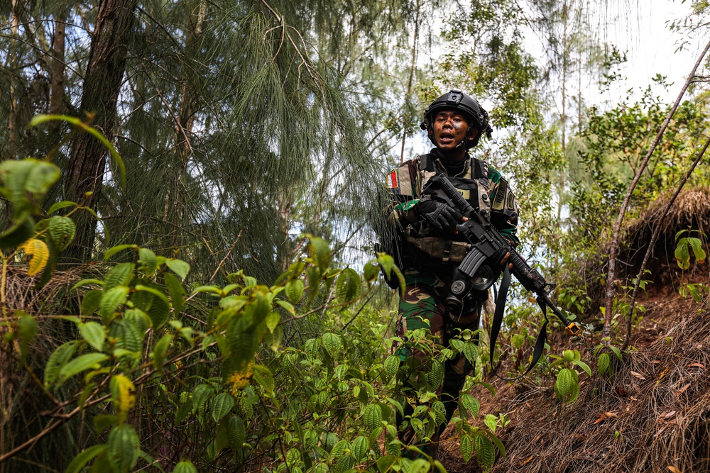 25th Infantry Division fights alongside allied forces