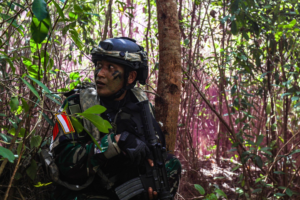 25th Infantry Division fights alongside allied forces