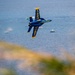 Blue Angels Navy Flight Demonstration Team – Fort Lauderdale, Florida