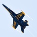 Blue Angels Navy Flight Demonstration Team – La Crosse, Wisconsin