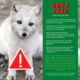 Don't Feed the Wildlife