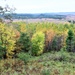 2021 Fall Colors at Fort McCoy training areas