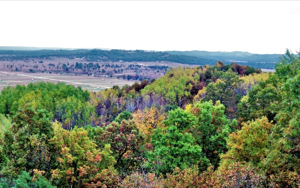 2021 Fall Colors at Fort McCoy training areas