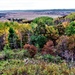 2021 Fall Colors at Fort McCoy training areas