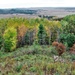 2021 Fall Colors at Fort McCoy training areas