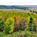 2021 Fall Colors at Fort McCoy training areas