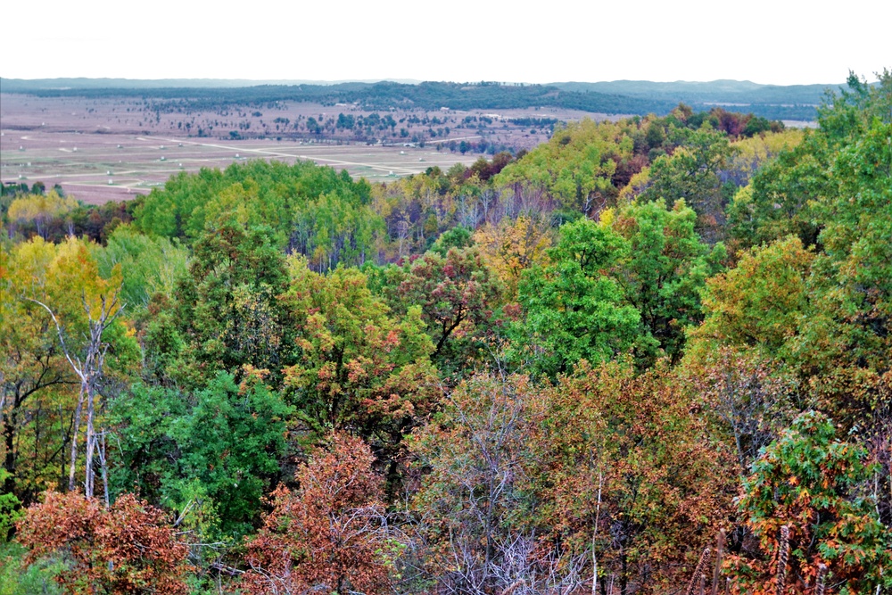 2021 Fall Colors at Fort McCoy training areas