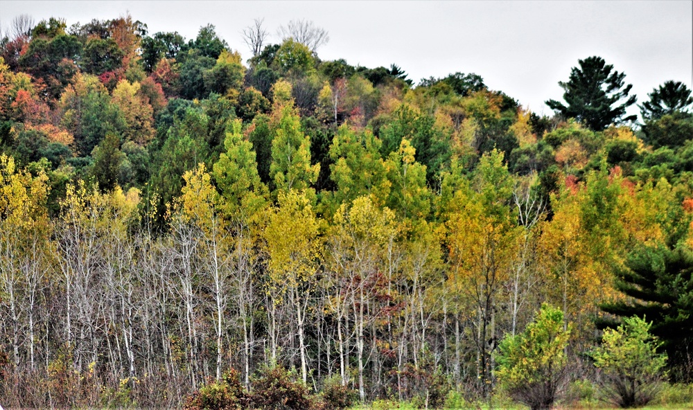 2021 Fall Colors at Fort McCoy training areas