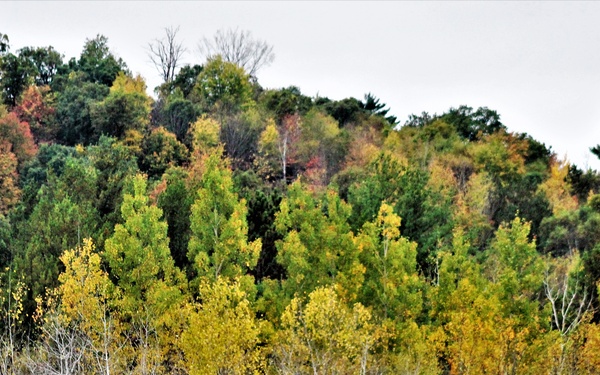2021 Fall Colors at Fort McCoy training areas