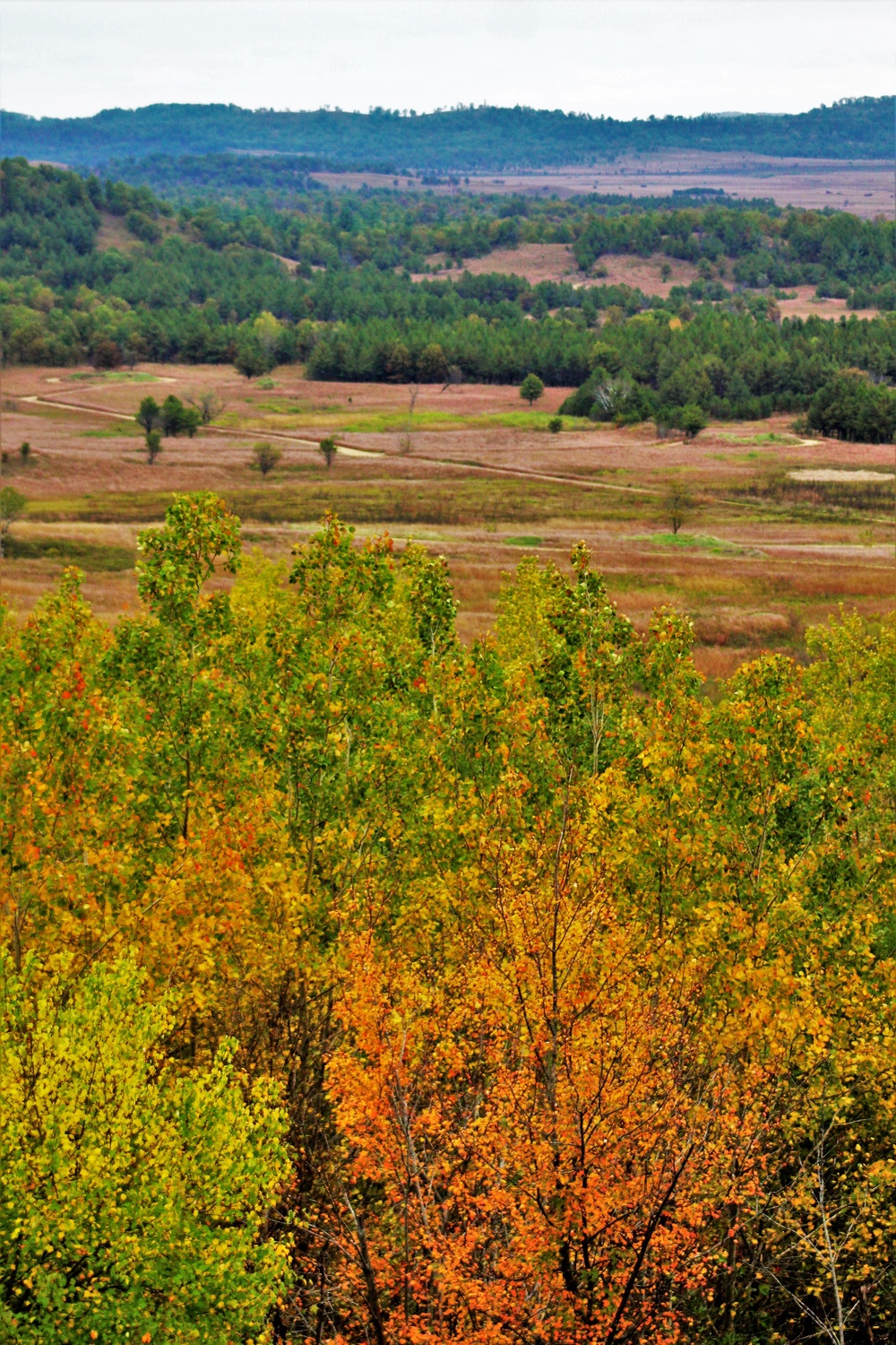 2021 Fall Colors at Fort McCoy training areas