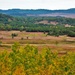 2021 Fall Colors at Fort McCoy training areas