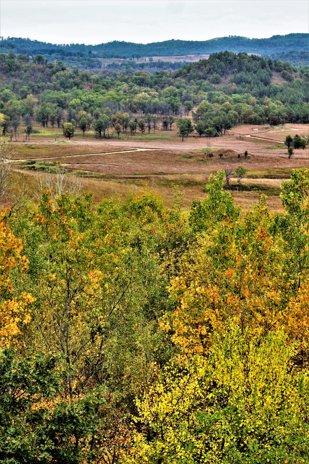 2021 Fall Colors at Fort McCoy training areas