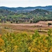 2021 Fall Colors at Fort McCoy training areas