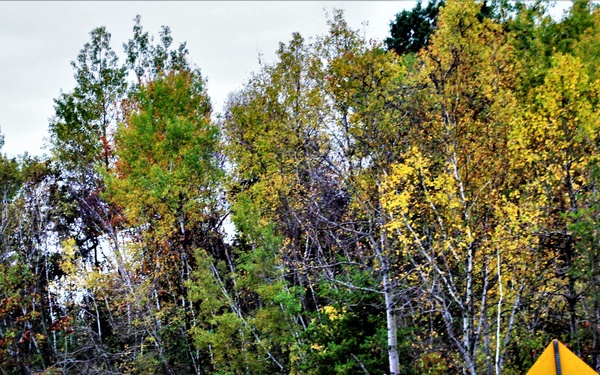 2021 Fall Colors at Fort McCoy training areas