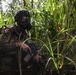 25th Infantry Division Soldiers train during JPMRC 22-01