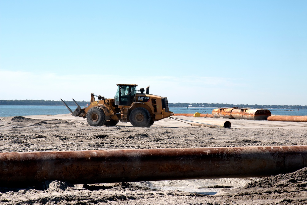 Restoring Crab Bank