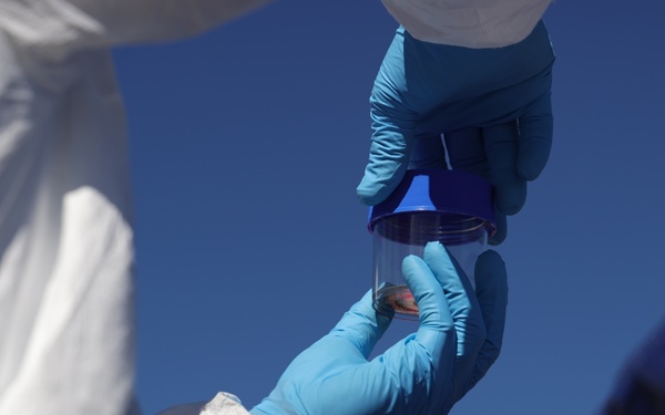 20th CBRNE Command units train for nuclear forensics mission during Exercise Prominent Hunt