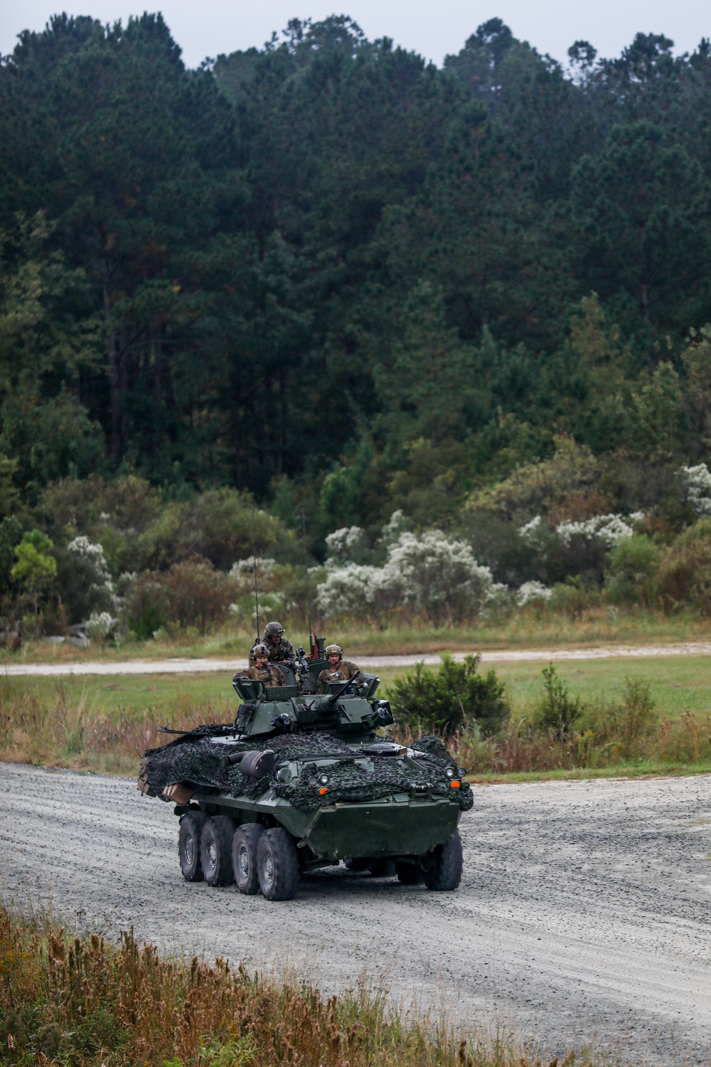 2nd LAR Bn. conducts Live-Fire training