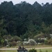 2nd LAR Bn. conducts Live-Fire training