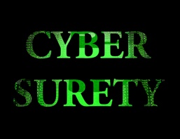 104th Communications Flight cyber surety team, information gatekeepers